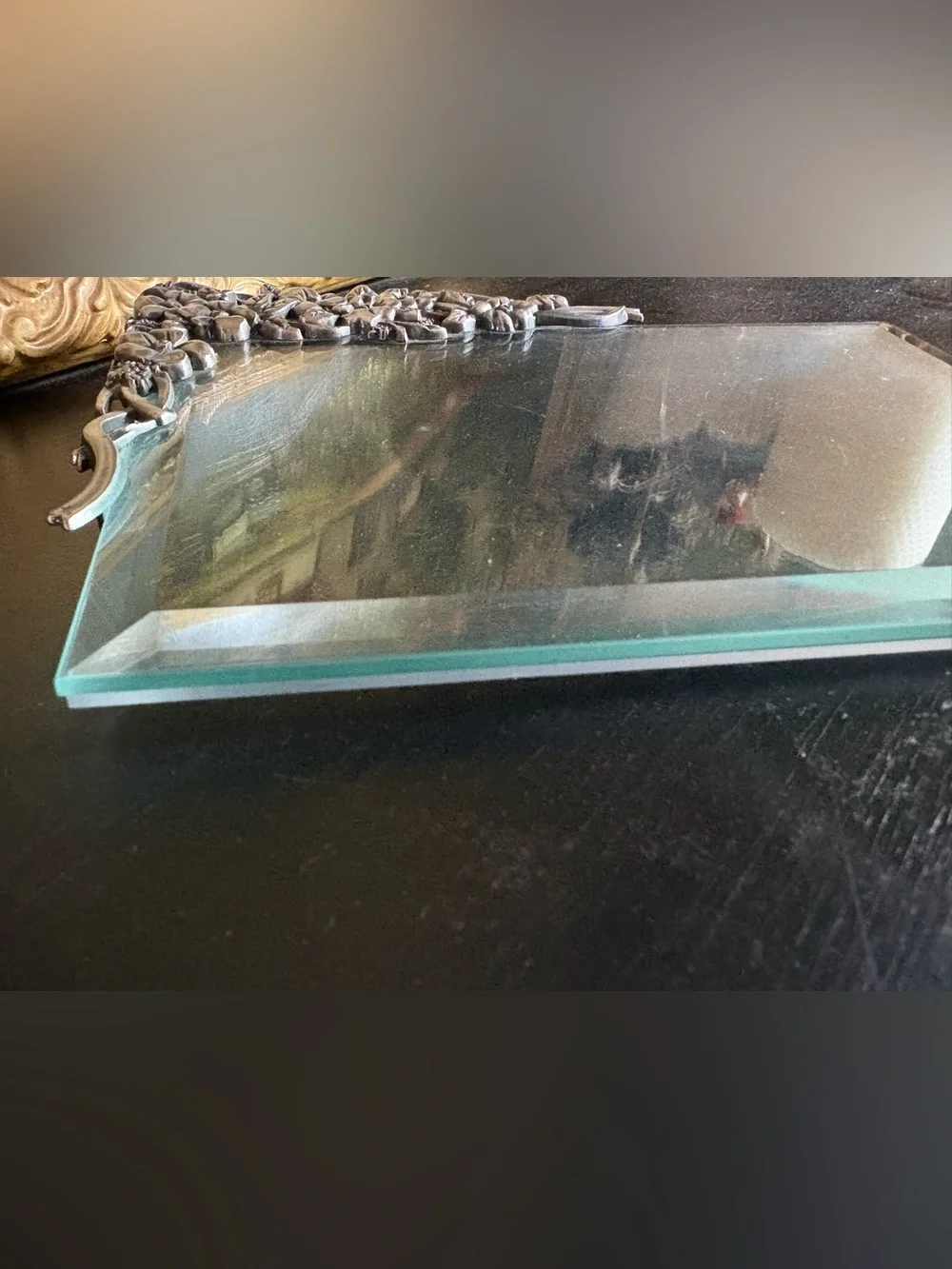 Floral Pewter Bordered Floating Glass Frame Portrait Beveled Edges 4 X 6 Photo